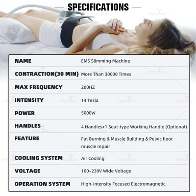 EMS Fat Burning Machine Electromagnetic Muscle Stimulation Body Shaping