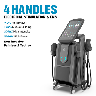 CE / FDA Großer Bildschirm Professionelle Ems Muskel Stimulator Handsome Erhöhung Bauen Beckenboden Trainingsmaschine